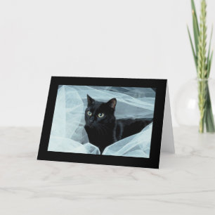 Tarjeta de todo tipo para gato negro