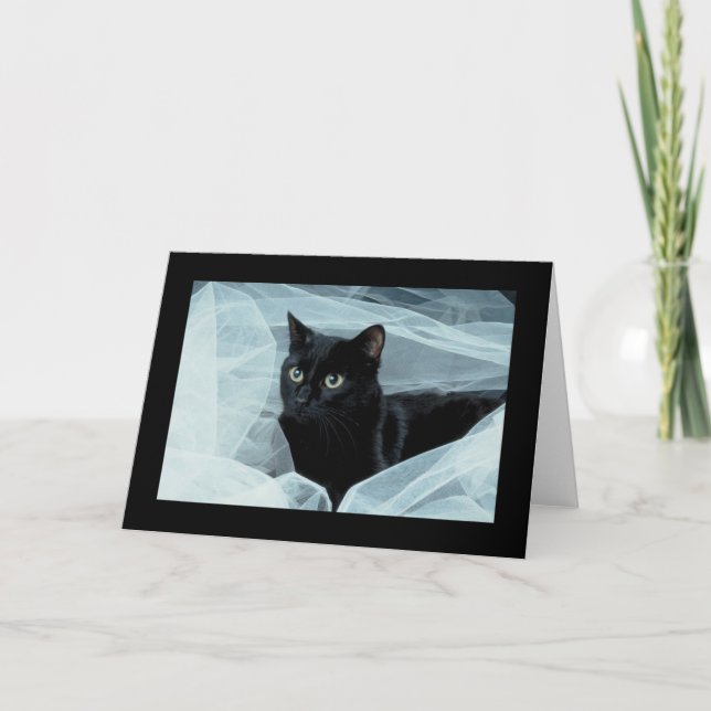 Tarjeta de todo tipo para gato negro (Anverso)