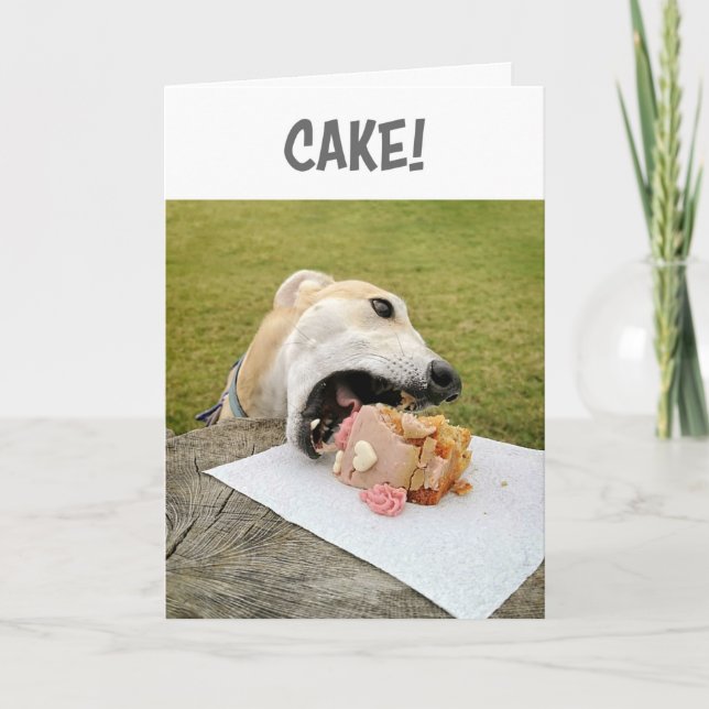 Tarjeta de torta de cumpleaños para perro de Greyh (Anverso)