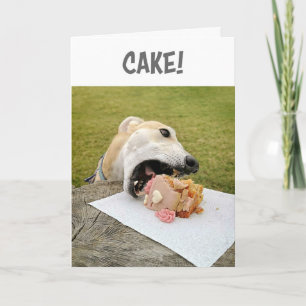 Tarjeta de torta de cumpleaños para perro de Greyh