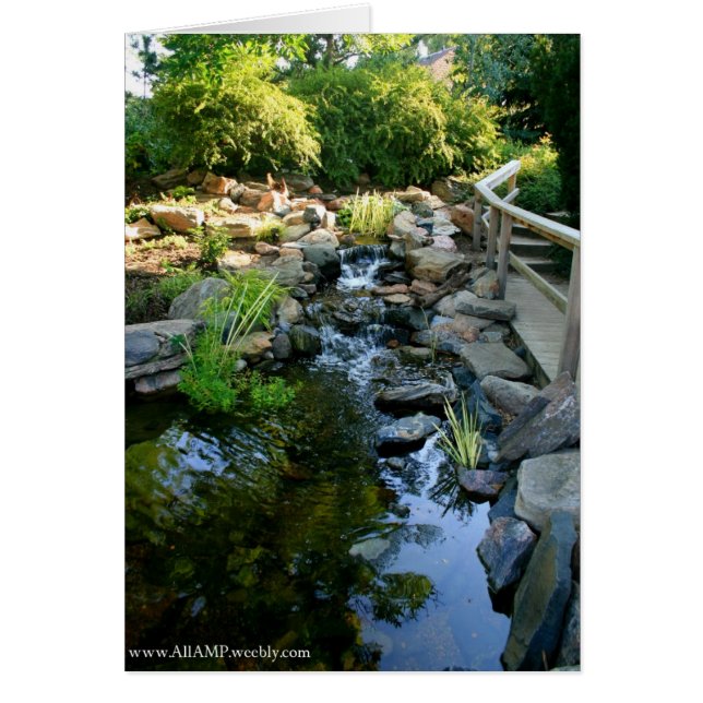 Tarjeta de tranquilidad (Frente)