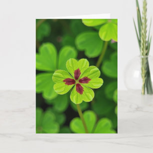 Tarjeta de Trébol Verde y Granate Lucky Leaf