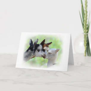 Tarjeta de Tres Alpacas