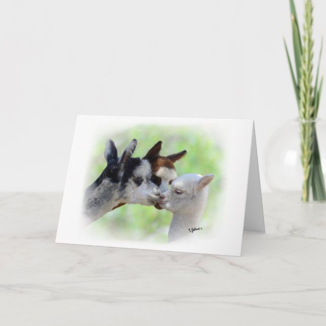 Tarjeta de Tres Alpacas (Anverso)