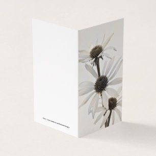 Tarjeta de tres flores de cono blanco