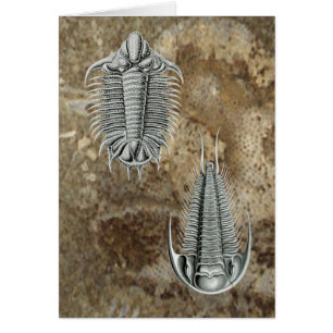 Tarjeta de Trilobites