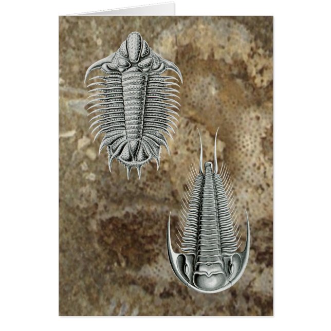 Tarjeta de Trilobites (Frente)