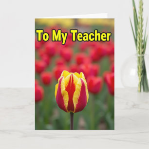 Tarjeta de Tulipán de Agradecimiento para Maestros