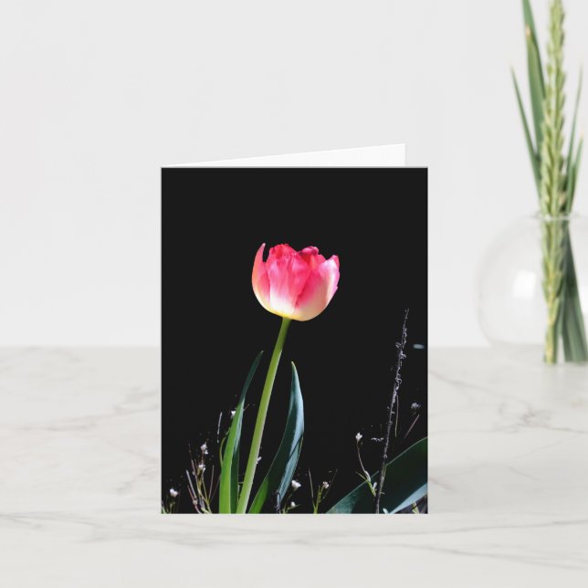 Tarjeta de tulipán de primavera (Anverso)