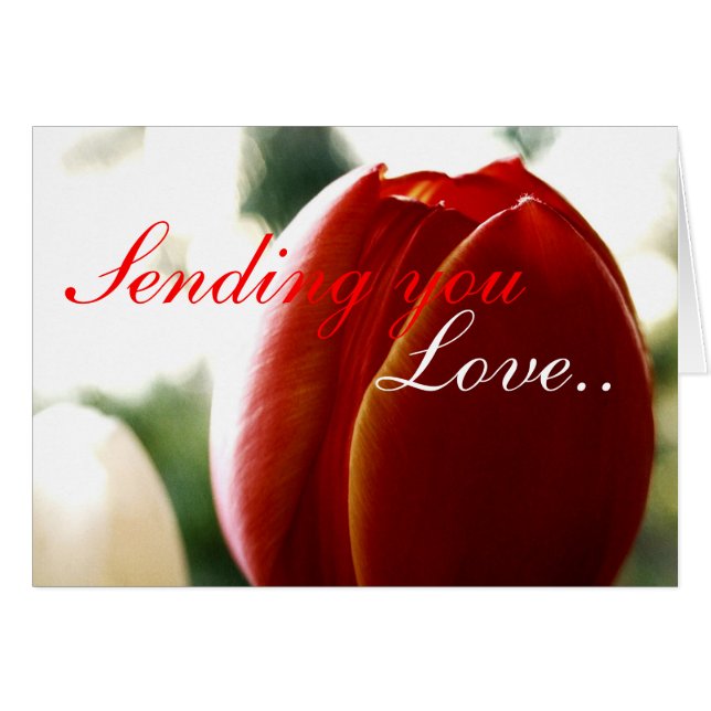 Tarjeta de Tulipán Rojo de Amor (Anverso (Horizontal))