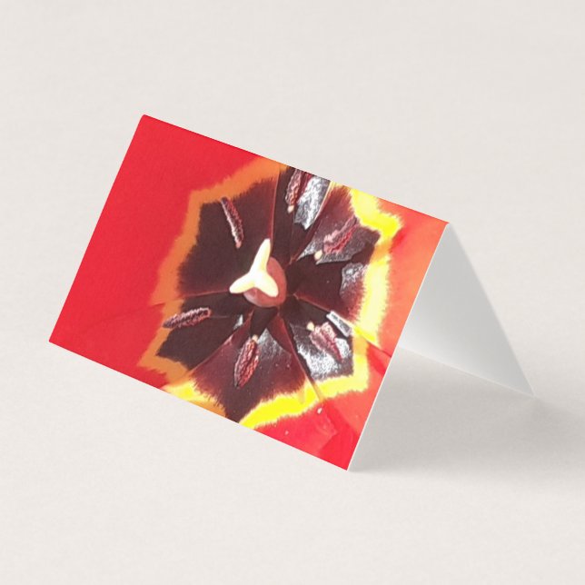 Tarjeta de tulipán rojo escarlata (Anverso)