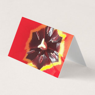 Tarjeta de tulipán rojo escarlata