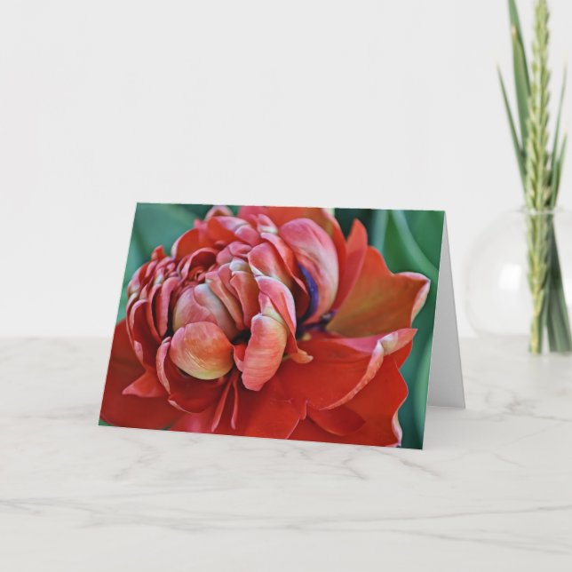 Tarjeta de tulipán rojo y escritura de bonito (Anverso)