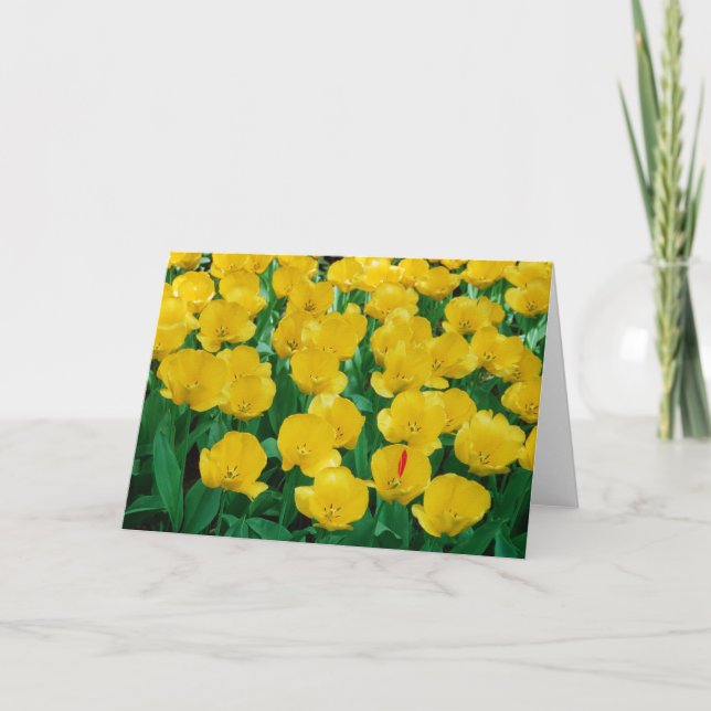 Tarjeta de tulipanes amarillos (Anverso)