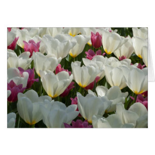 Tarjeta de tulipanes blanca