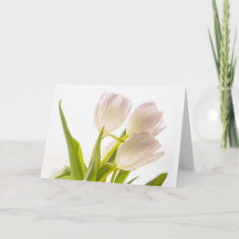 Tarjeta de tulipanes blancos de ocasión