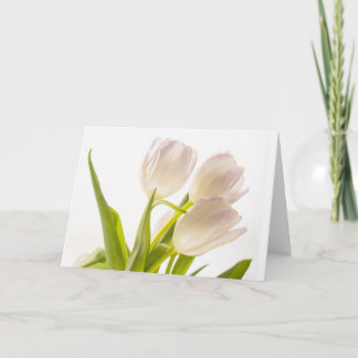 Tarjeta de tulipanes blancos de ocasión