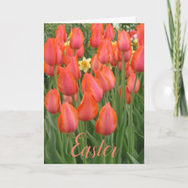 Tarjeta de tulipanes de Pascua