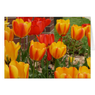 Tarjeta de tulipanes de primavera
