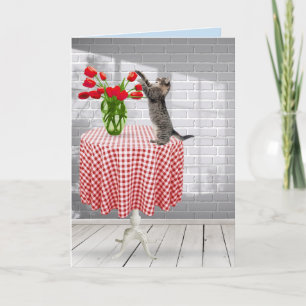 Tarjeta de tulipanes rojos de gato y cumpleaños en
