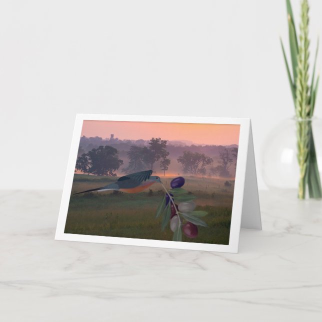 Tarjeta de unidad americana (Anverso)