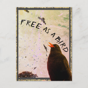 Tarjeta de unión no 16: gratuita como pájaro