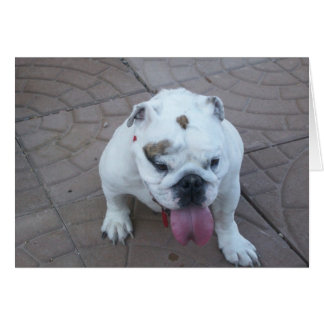 Tarjeta de usuario en blanco