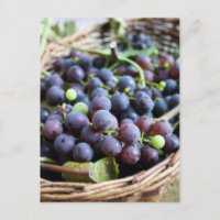 Tarjeta de uvas italianas