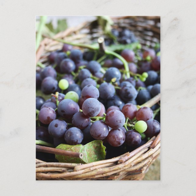 Tarjeta de uvas italianas (Anverso)