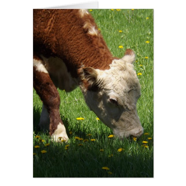 Tarjeta de vaca (Frente)