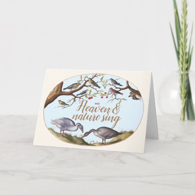 Tarjeta de vacaciones Aves navidades (Anverso)
