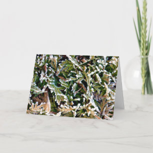 Tarjeta de vacaciones Axial Tilt