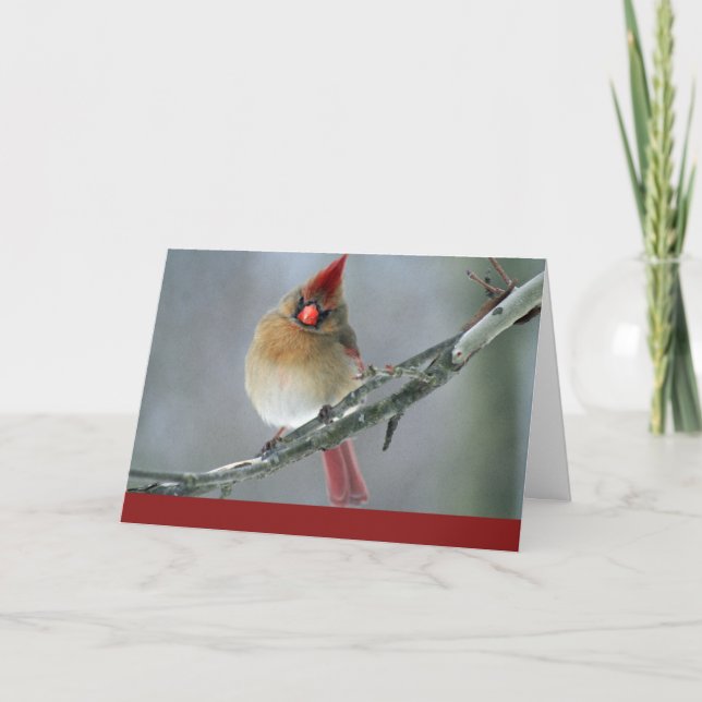 Tarjeta de vacaciones cardinal (Anverso)