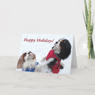 Tarjeta de vacaciones Cavalier King Charles Spanie