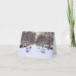 Tarjeta de vacaciones "Central Park in Winter" - e