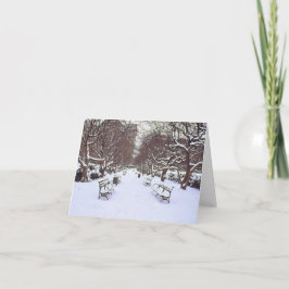 Tarjeta de vacaciones "Central Park in Winter" - N