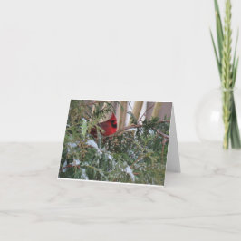 Tarjeta de vacaciones con cardenal