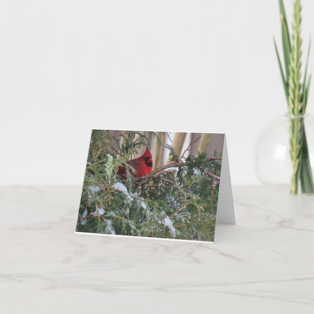 Tarjeta de vacaciones con cardenal (Anverso)