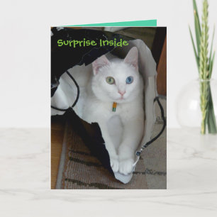 Tarjeta de vacaciones con dinero para la tranquili