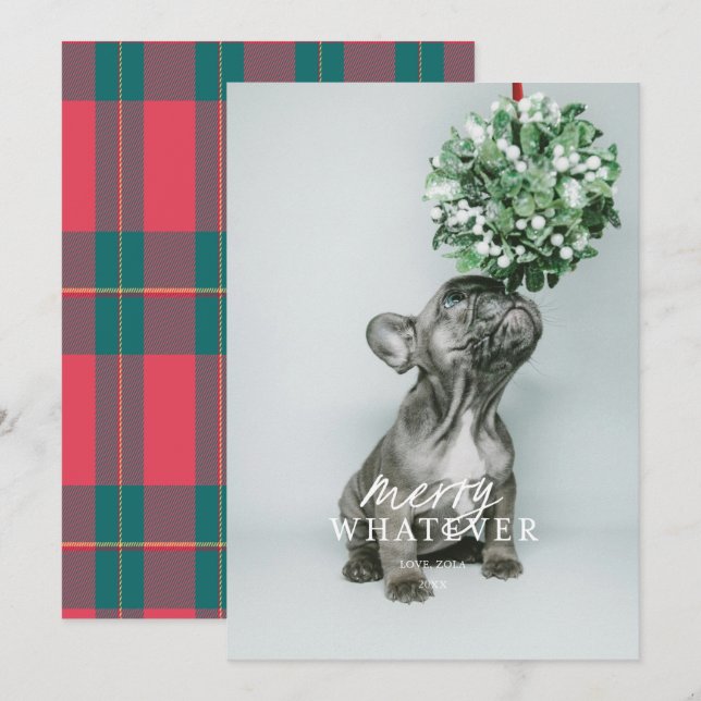 Tarjeta de vacaciones con foto de mascota tonta y  (Anverso / Reverso)