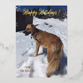 Tarjeta de vacaciones con lámina de foto de perro 