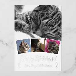 Tarjeta de vacaciones con lámina de plata y elegan