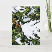 Tarjeta de vacaciones con nieve en ramas