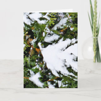 Tarjeta de vacaciones con nieve en ramas