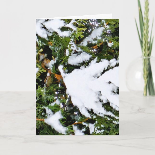 Tarjeta de vacaciones con nieve en ramas (Anverso)