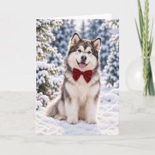 Tarjeta de vacaciones de Alaskan Malamute con lazo