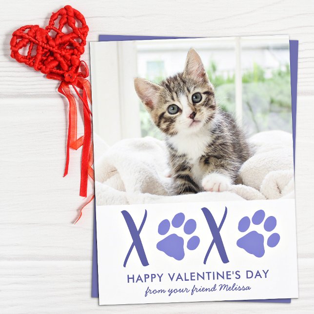 Tarjeta de vacaciones de foto de Mascota de gato d (Subido por el creador)