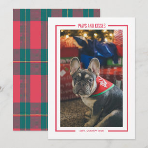 Tarjeta de vacaciones de foto de mascota divertida