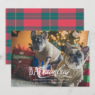 Tarjeta de vacaciones de foto de mascota tonta Bah