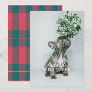 Tarjeta de vacaciones de foto de mascota tonta y a